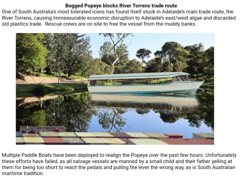 South Australia's most tolerated icon