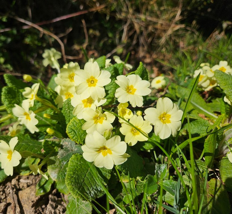 My Actifit Report Card: March 23 2026