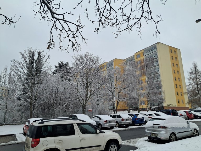 My Actifit Report Card: January 29 2026