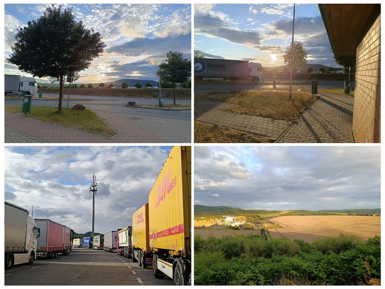 Travelling to East Germany for a visit - My Actifit Report Card: July 22 2025