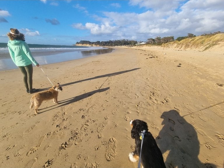 My Actifit Report Card: March 13 2026