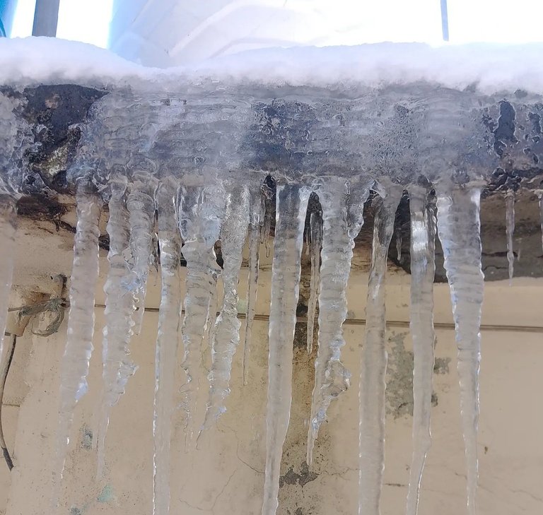 My Actifit Report Card: January 26 2026