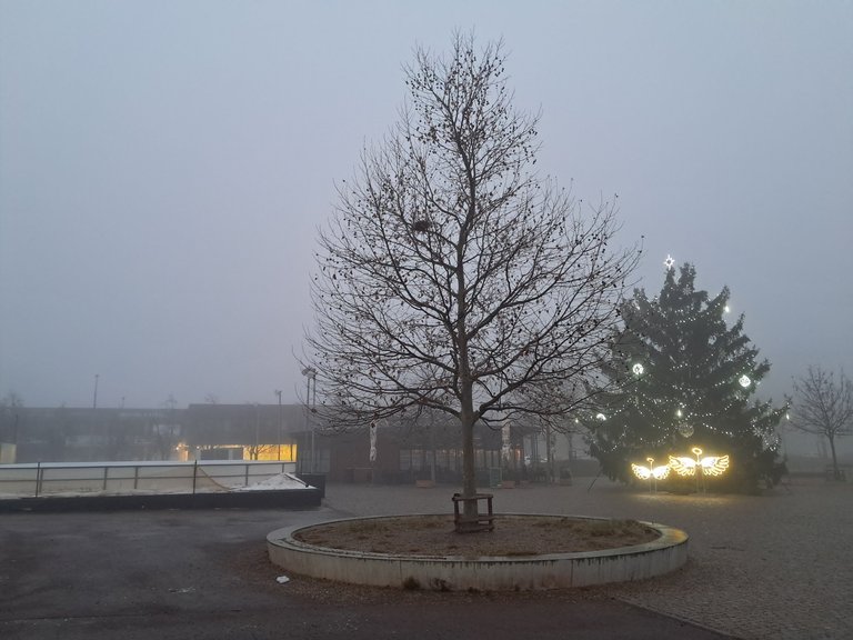 My Actifit Report Card: December 25 2025