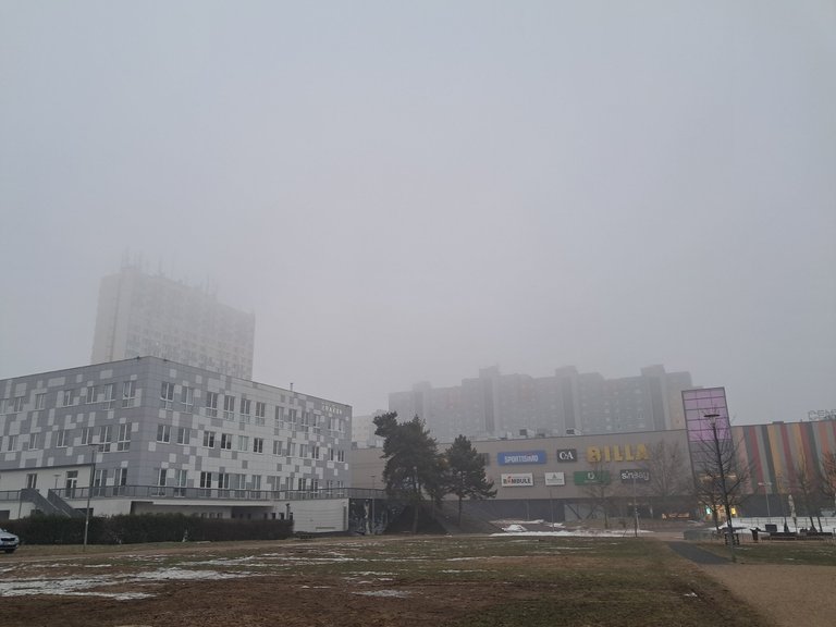 My Actifit Report Card: January 25 2026