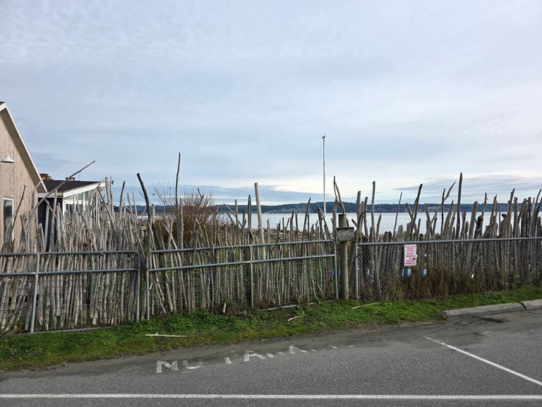 My Actifit Report Card: January 16 2026