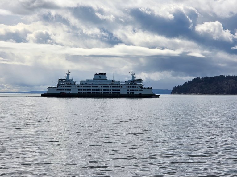 My Actifit Report Card: March 23 2026