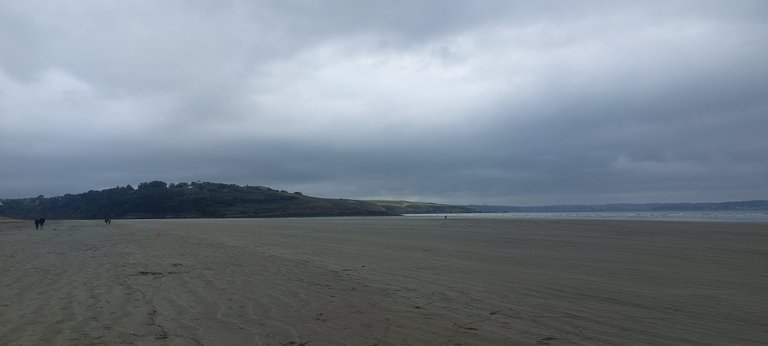 A misty beach run - My Actifit Report Card: August 4 2025
