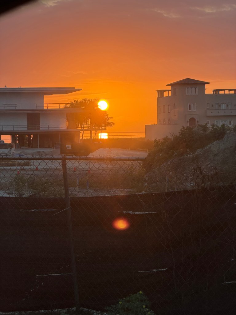 Up and Away - My Actifit Report Card: March 3 2026