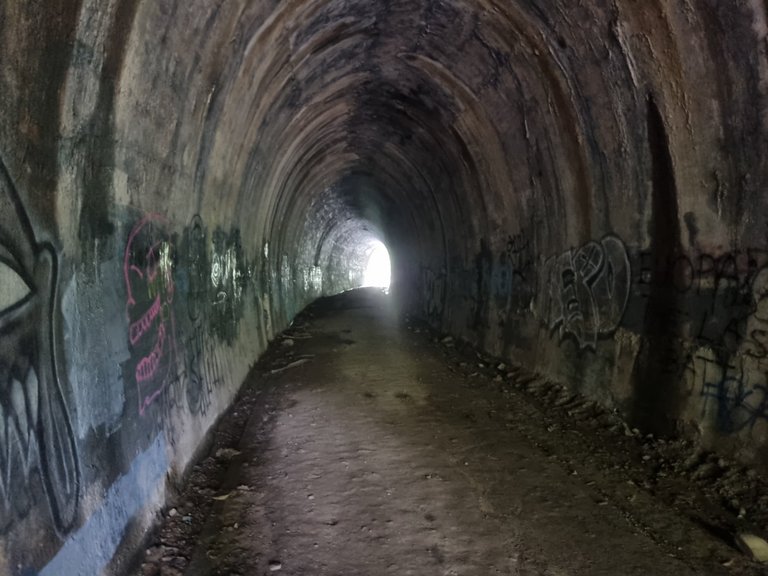 My Actifit Report Card: December 28 2025