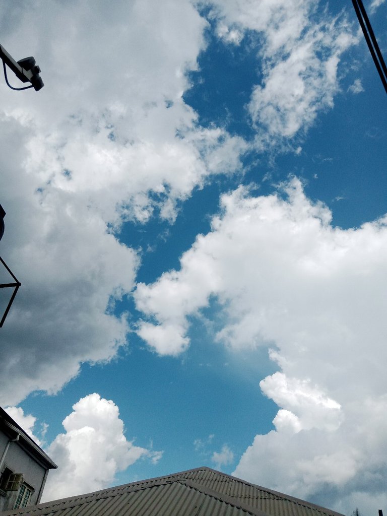 My Actifit Report Card: April 9 2026