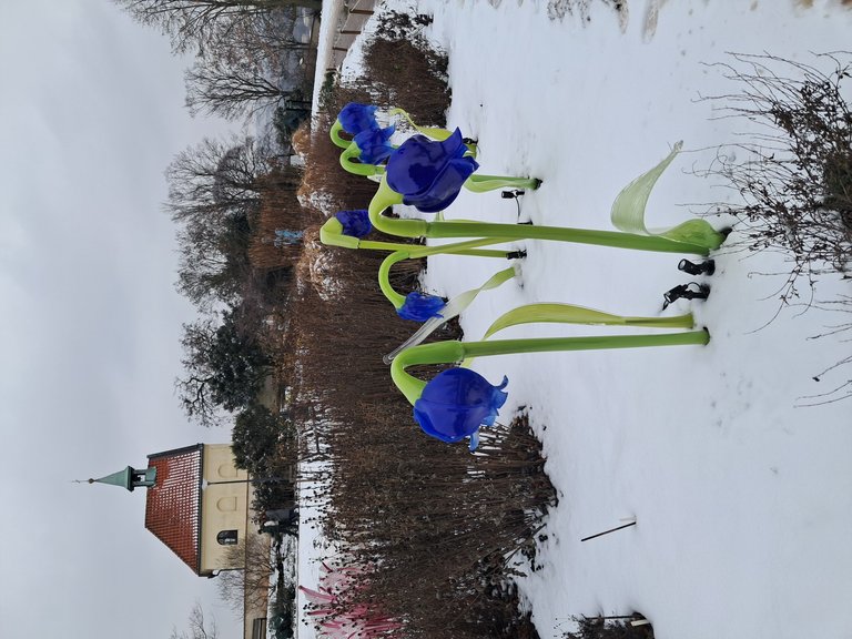 My Actifit Report Card: January 31 2026