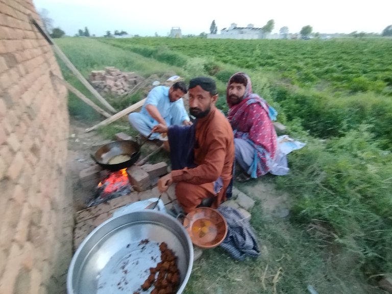 My Actifit Report Card: March 19 2026