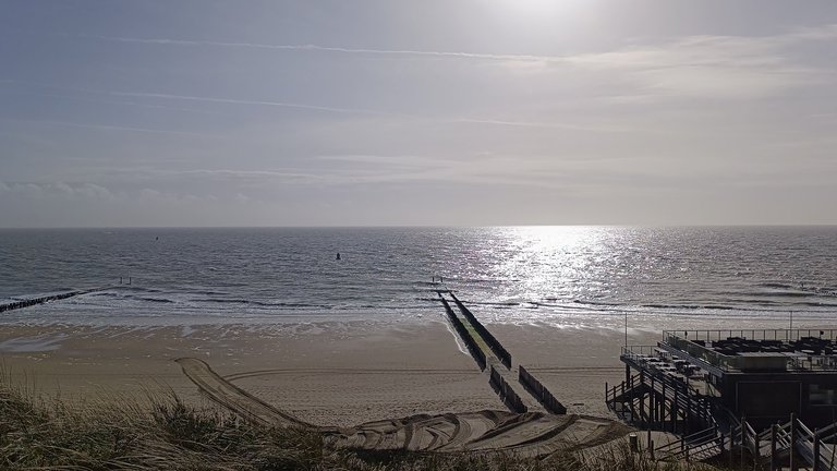 My Actifit Report Card: March 16 2026