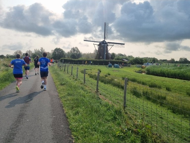 My Actifit Report Card: August 7 2025