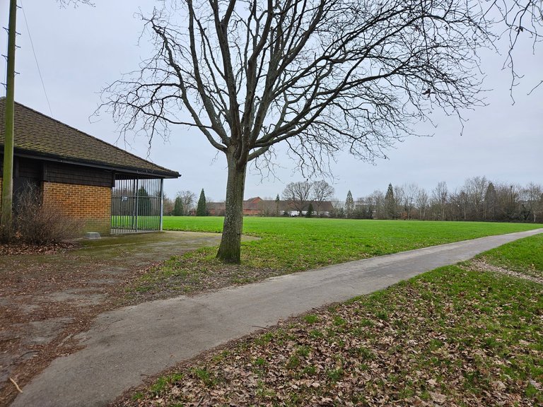 Supermarket dash!  : Actifit Report Card: December 28 2025