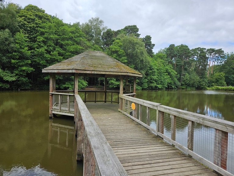 Tilgate Nature Centre boardwalk  : My Actifit Report Card: July 4 2026
