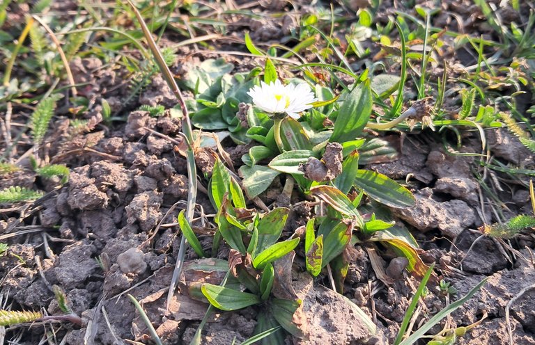 My Actifit Report Card: March 7 2026