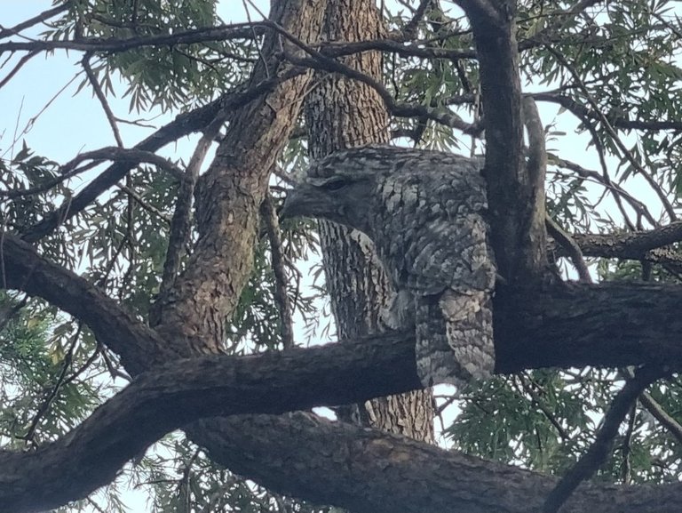 My Actifit Report Card: January 8 2026