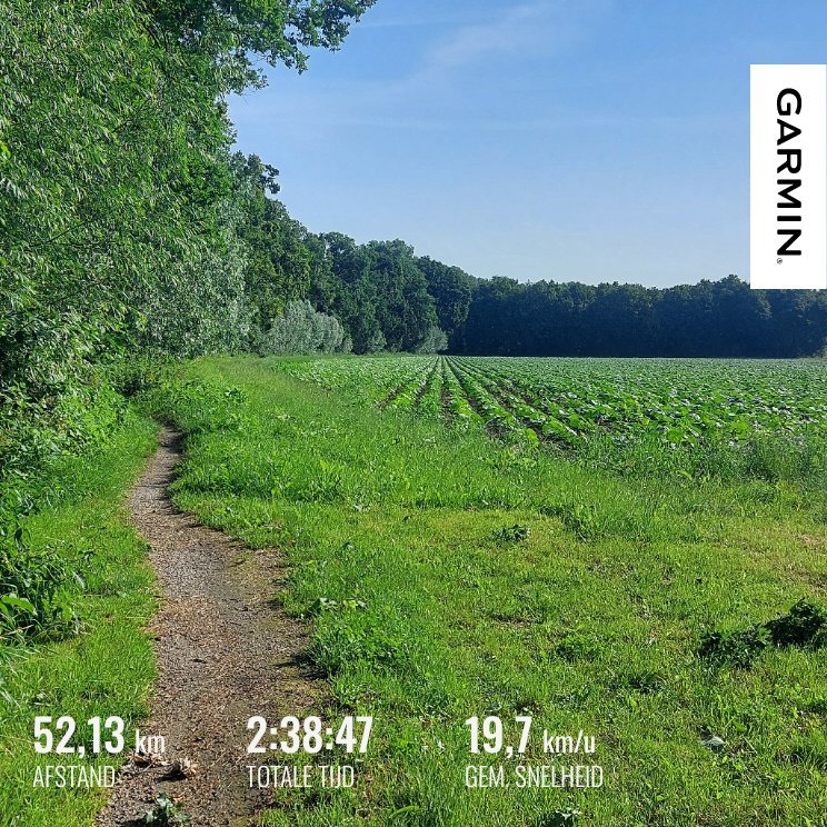My Actifit Report Card: July 5 2026
