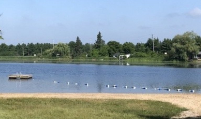My Actifit Report Card: May 21 2025