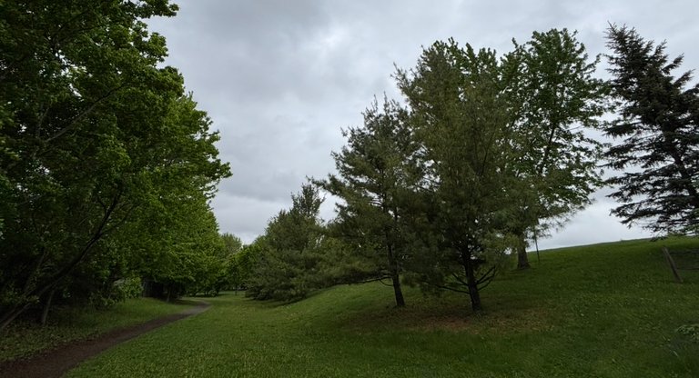 My Actifit Report Card: May 23 2025