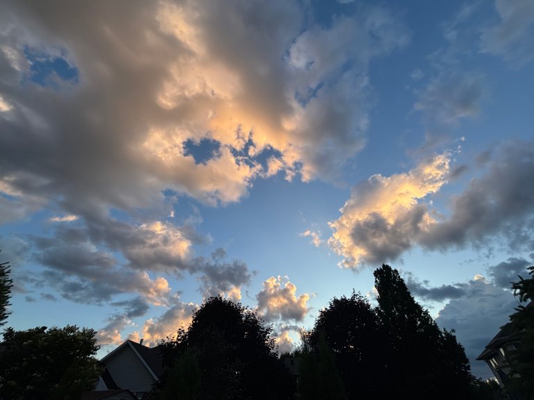 My Actifit Report Card: July 3 2025