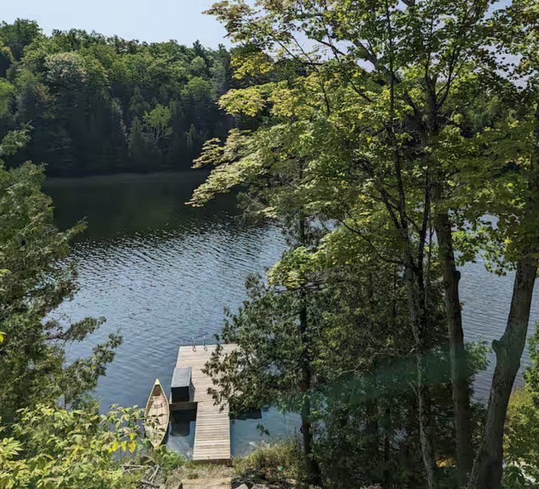My Actifit Report Card: July 17 2025