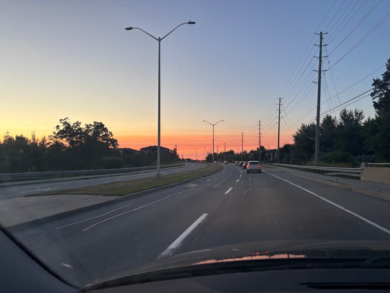 My Actifit Report Card: August 1 2025