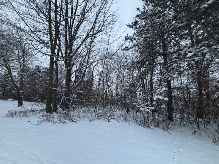 My Actifit Report Card: December 26 2025