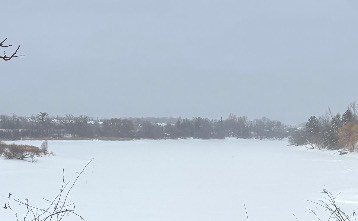 My Actifit Report Card: February 24 2026