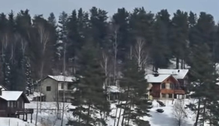 My Actifit Report Card: March 3 2026