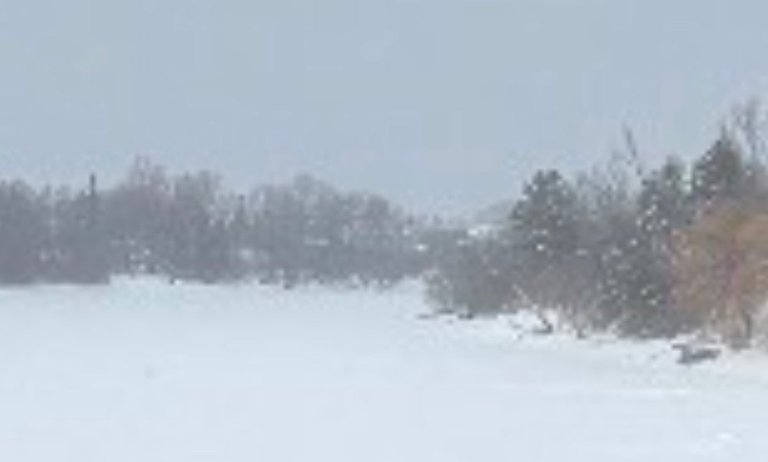 My Actifit Report Card: March 11 2026