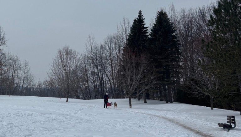 My Actifit Report Card: March 12 2026