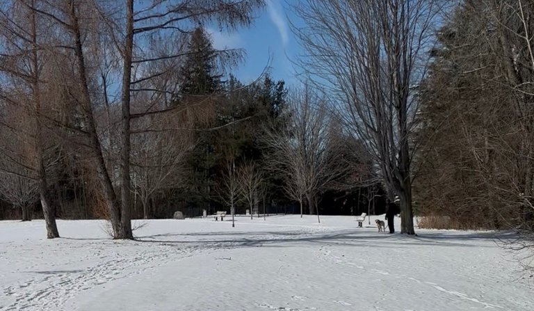 My Actifit Report Card: March 18 2026