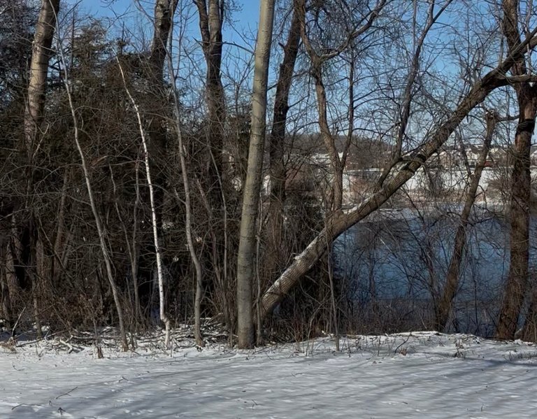 My Actifit Report Card: March 19 2026