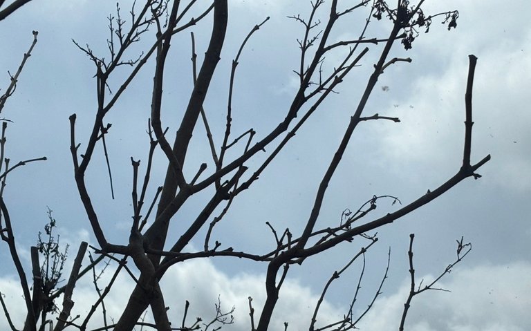 My Actifit Report Card: March 28 2026