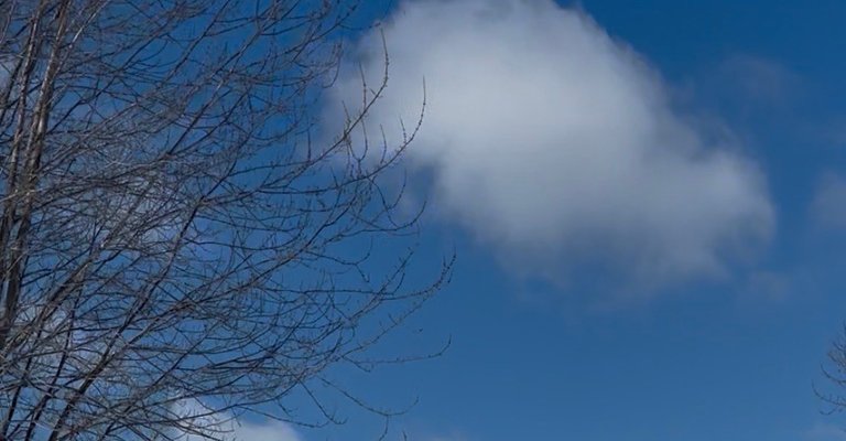 My Actifit Report Card: April 8 2026