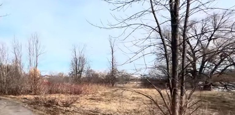 My Actifit Report Card: April 12 2026