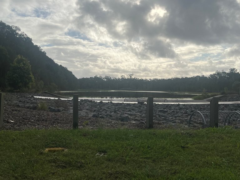 My Actifit Report Card: April 29 2022