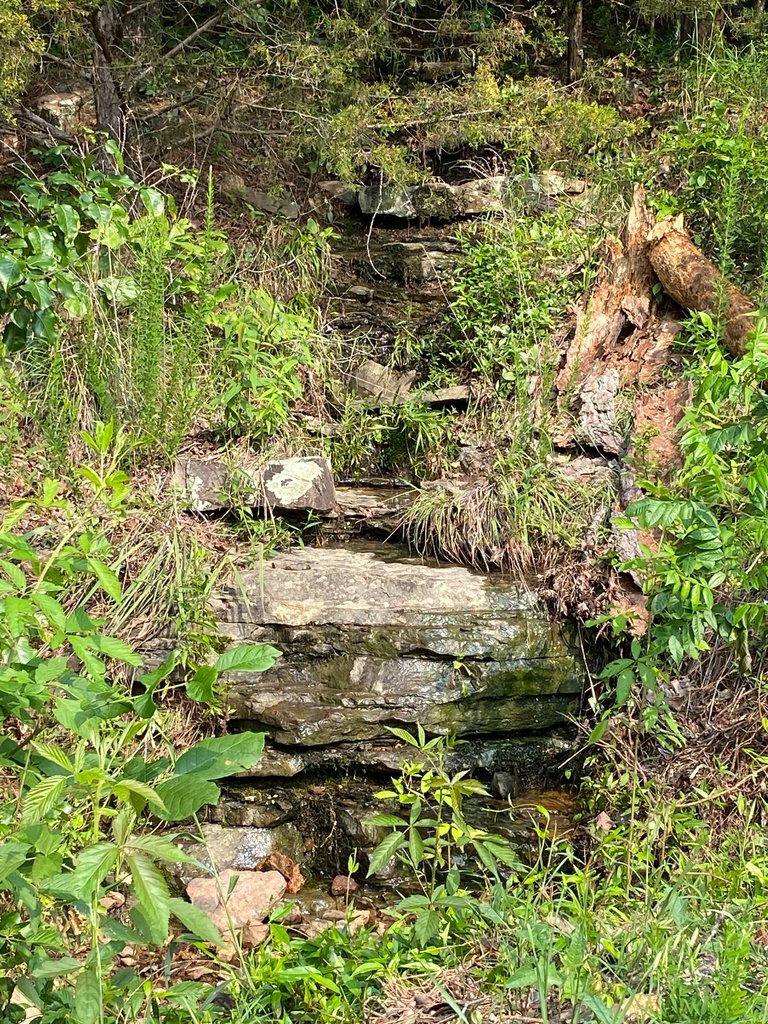 Peaceful in OzarklifeMy Actifit Report Card: May 31 2025