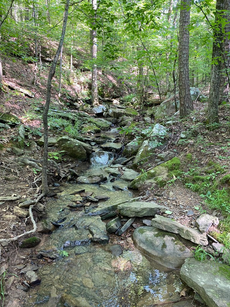 My Favorite Place In Ozarklife My Actifit Report Card: June 18 2025