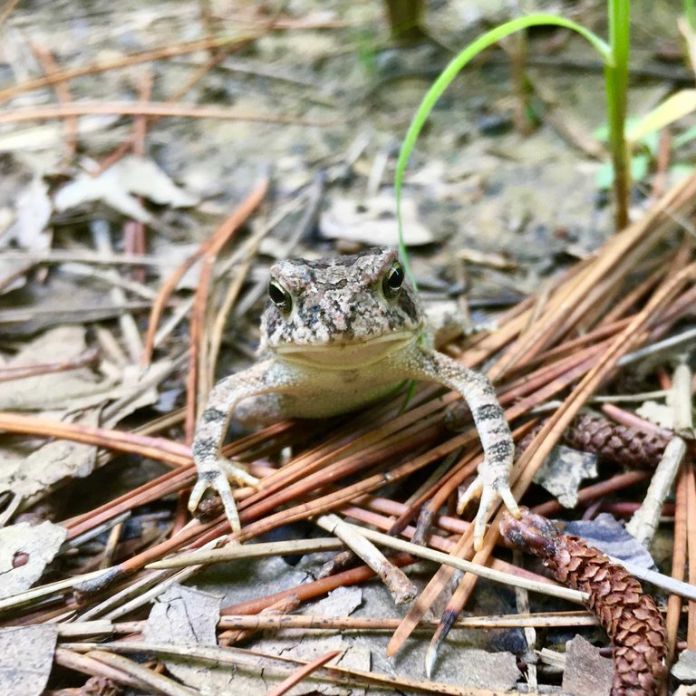 OzarkLife Wanderings ~ August 13, 2023