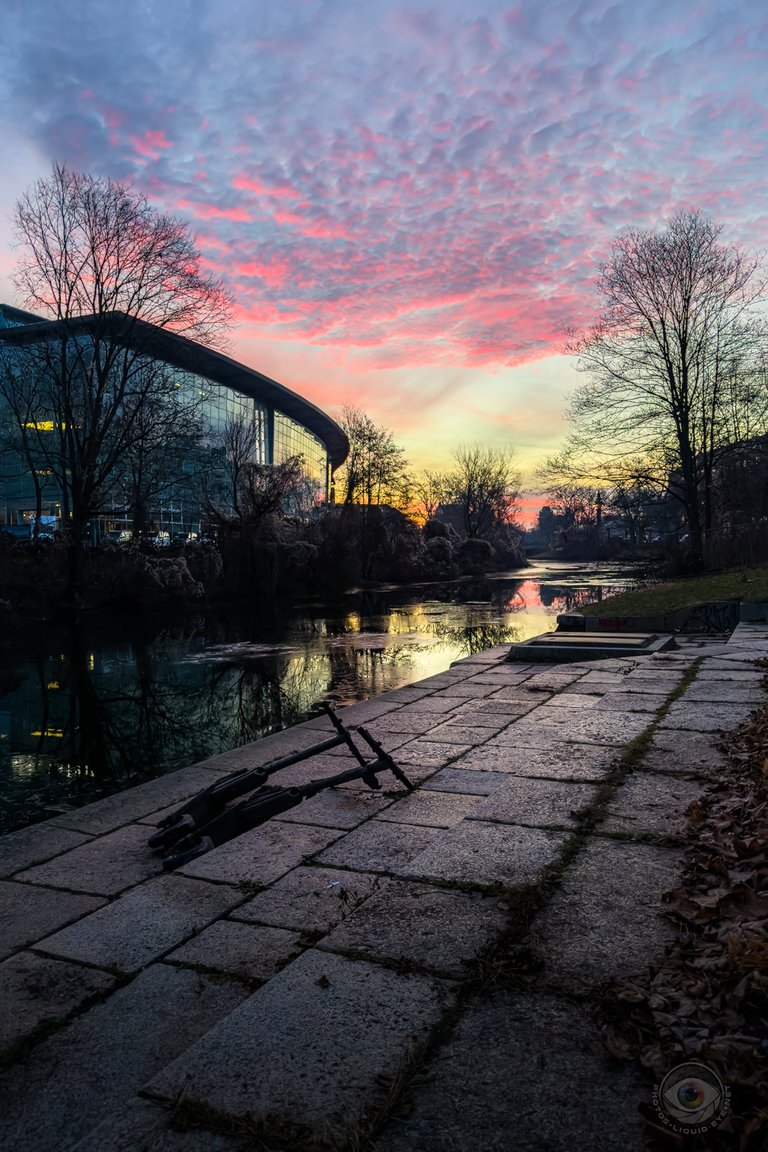 Pink Sunrise