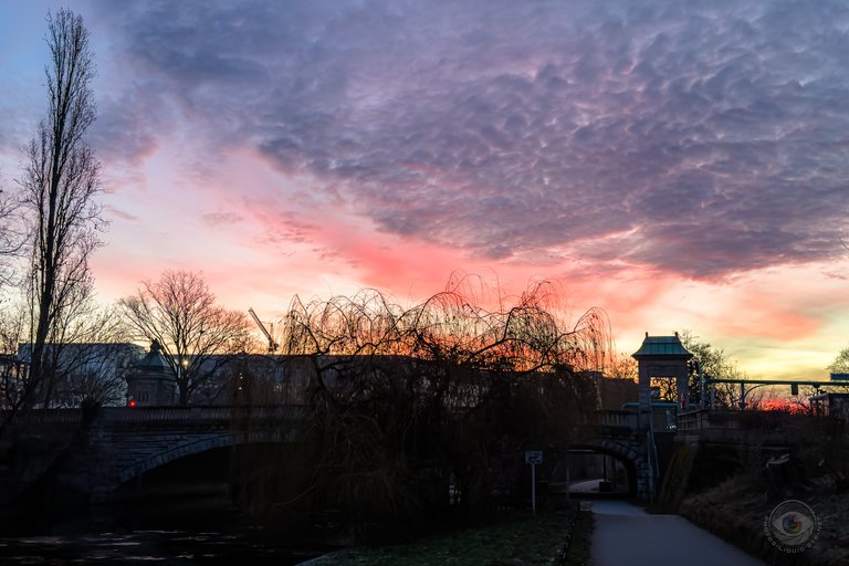 Pink Sunrise