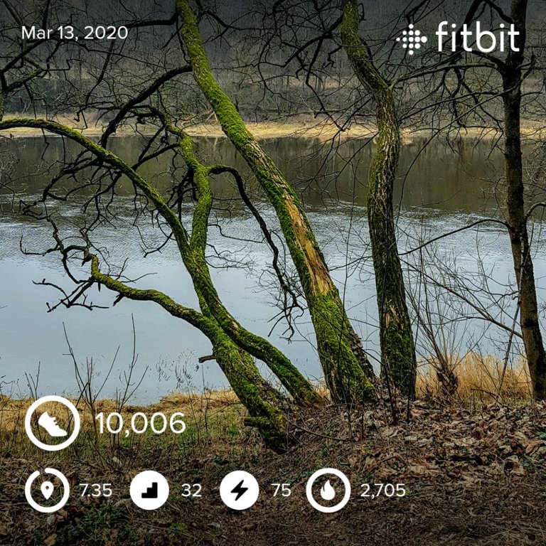 fitbitshare_1503540764.JPEG