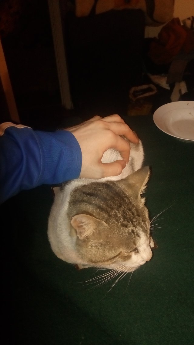 16 FebB.jpg
