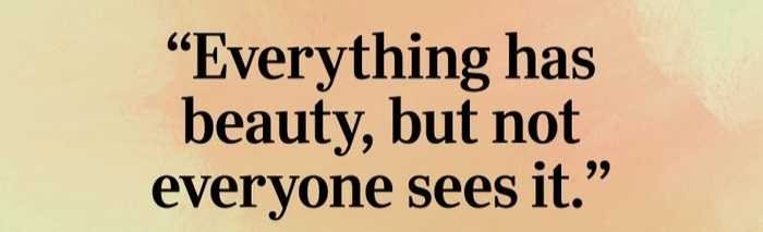 everything-has-beauty-confucius-quote.jpg
