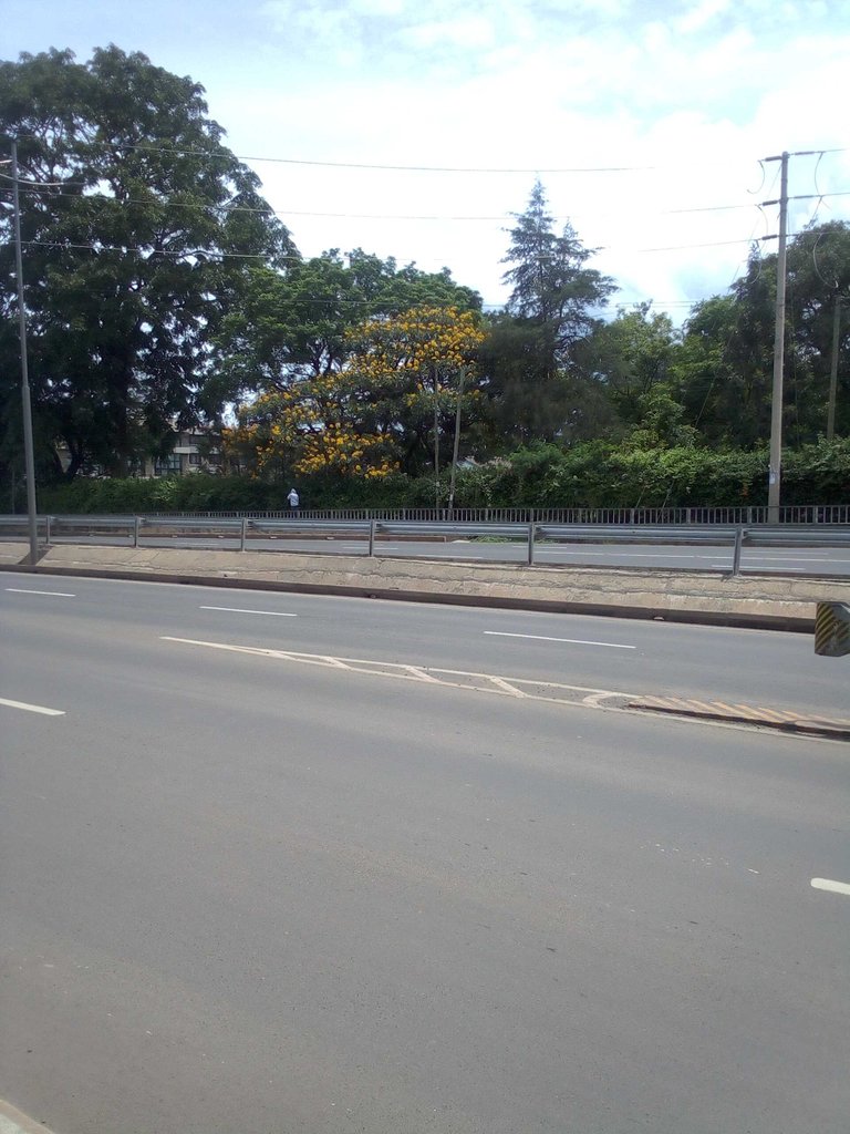 12 JulG.jpg