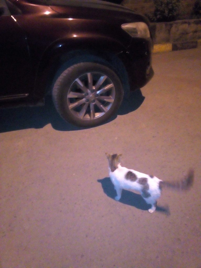 15 JulA.jpg