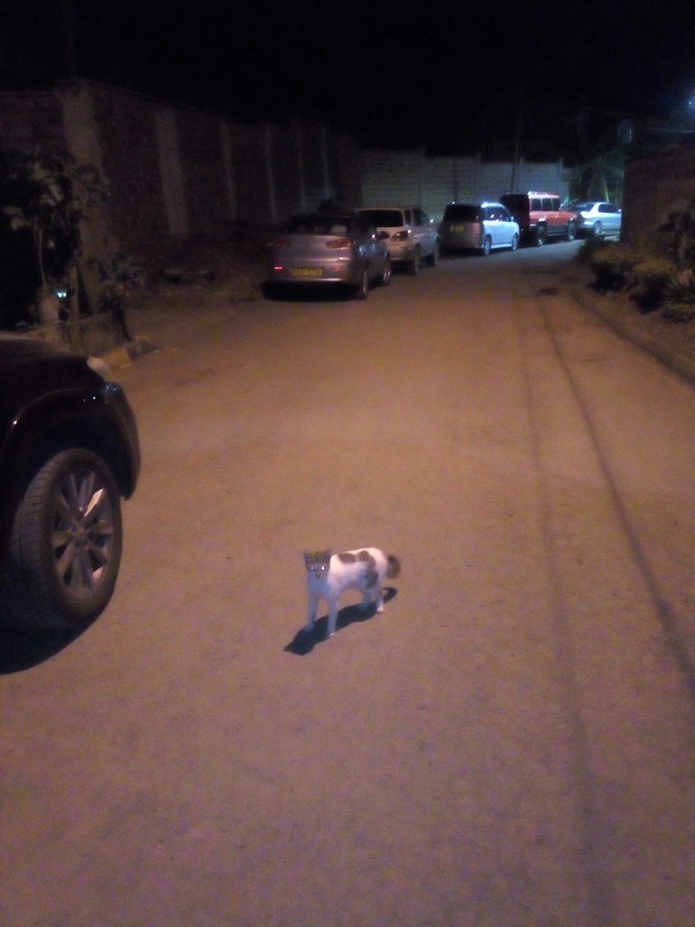 15 JulB.jpg